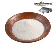 Best Price Health Supplements Hydrolyzed Marine Fish Collagen Peptide Powder